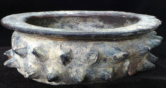 Spiny Spikey Sprigs! for 6-11 year olds with Megan Bassage-Glock