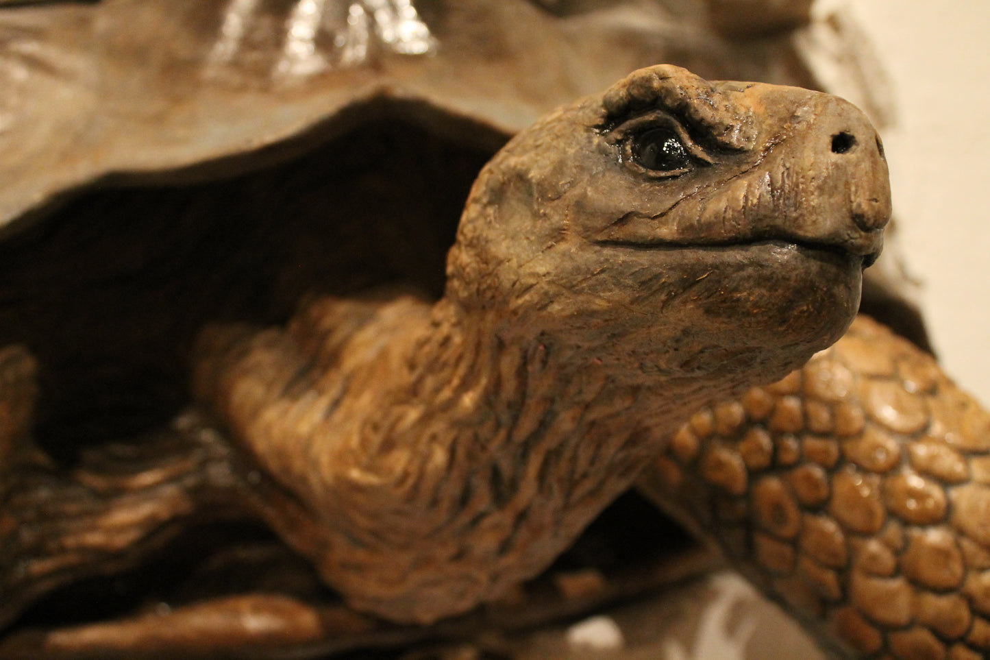Hand building Zoomorphic Vessels a class with Bonny Barker - Beginners Welcome!